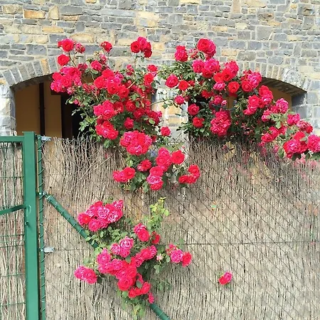 Portal De Ordesa Apartament